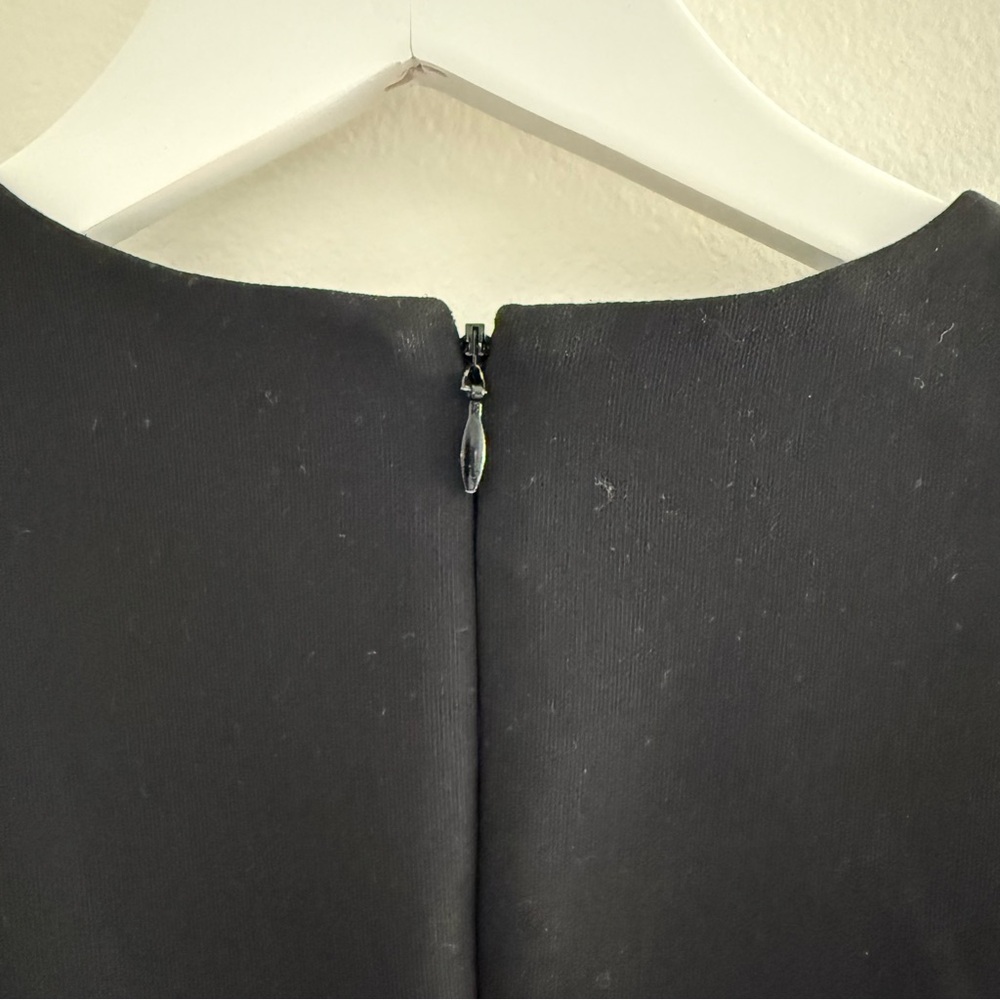 Elizabeth and James Size 6 Black Sleeveless Feather-Hem Mini Dress - Picture 6 of 7